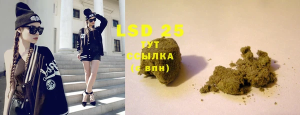 мдпв Вяземский