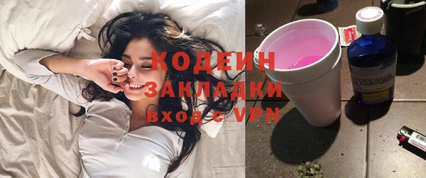 мдпв Вяземский